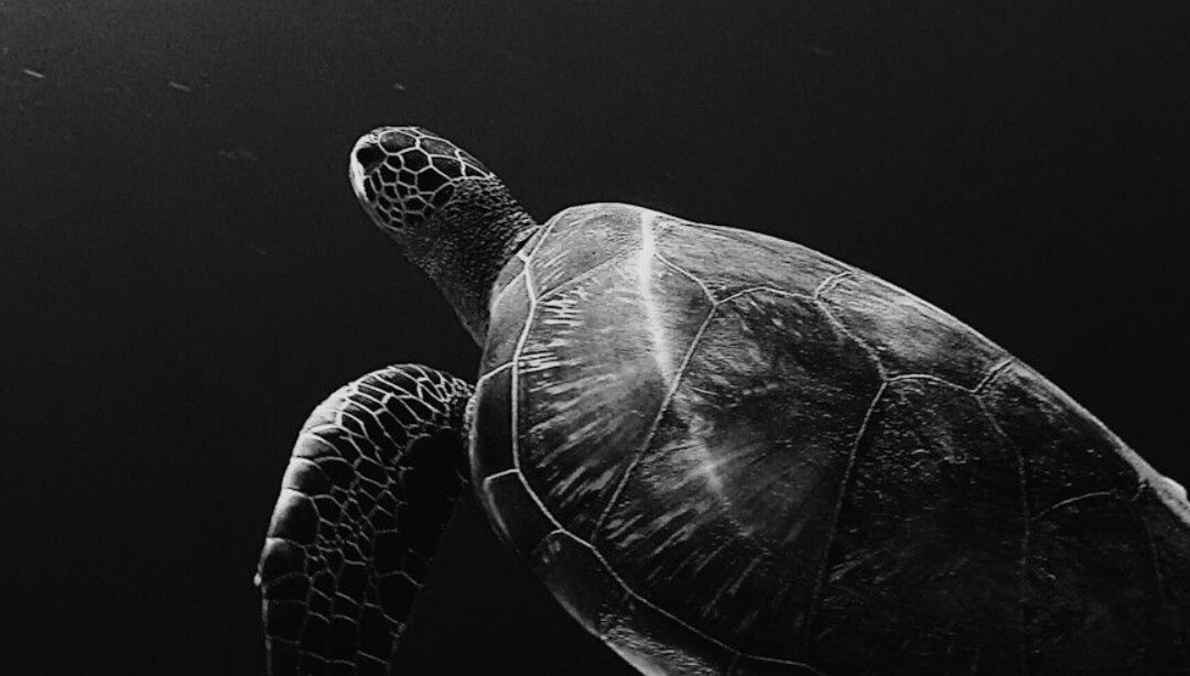 Y si el mayor freno para cuidarnos no fuera el tiempo.