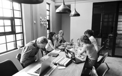 The Ingredients for a Healthy Organization
